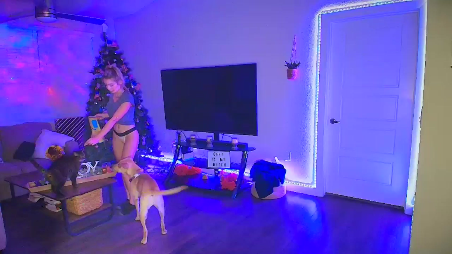 Gallery image thumbnail from Sammy_gray's myfreecams stream on, 09/21/2024, 04:41 image 6 of 20