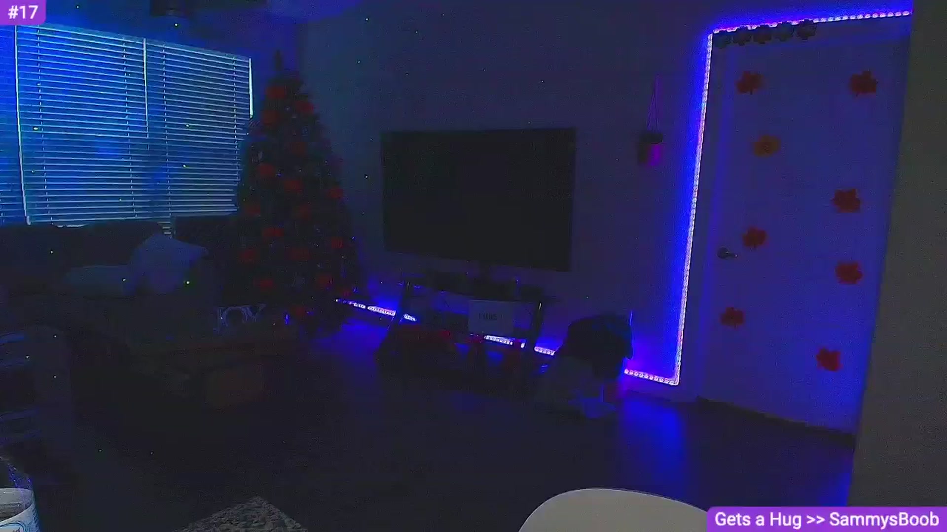 Gallery image thumbnail from Sammy_gray's myfreecams stream on, 11/08/2024, 24:20 image 20 of 20