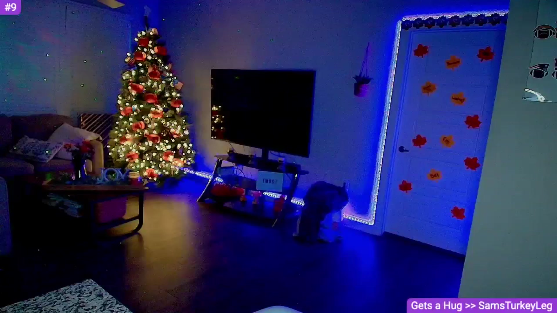 Gallery image thumbnail from Sammy_gray's myfreecams stream on, 11/15/2024, 03:17 image 5 of 20