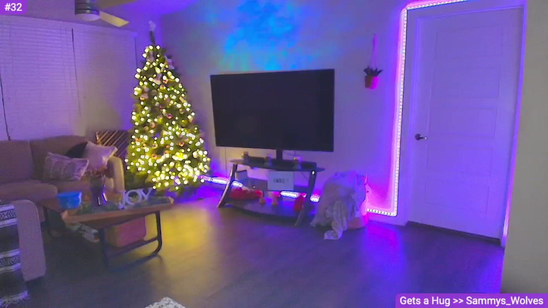 Gallery image thumbnail from Sammy_gray's myfreecams stream on, 12/02/2024, 05:24 image 17 of 20