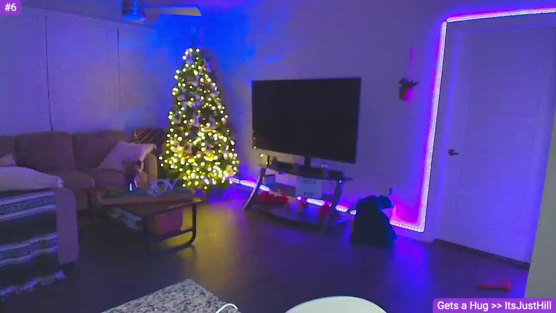 Gallery image thumbnail from Sammy_gray's myfreecams stream on, 12/08/2024, 05:38 image 4 of 20