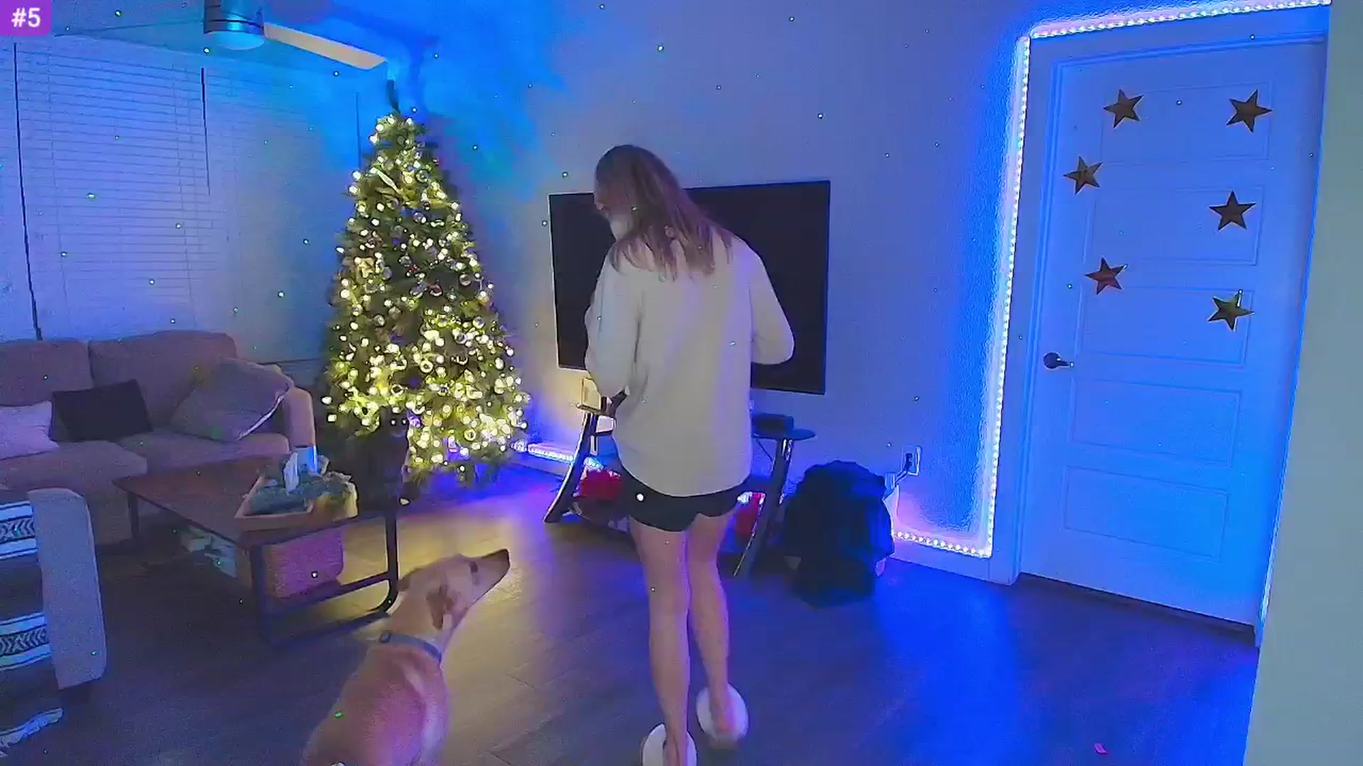 Gallery image thumbnail from Sammy_gray's myfreecams stream on, 01/16/2025, 03:30 image 16 of 20