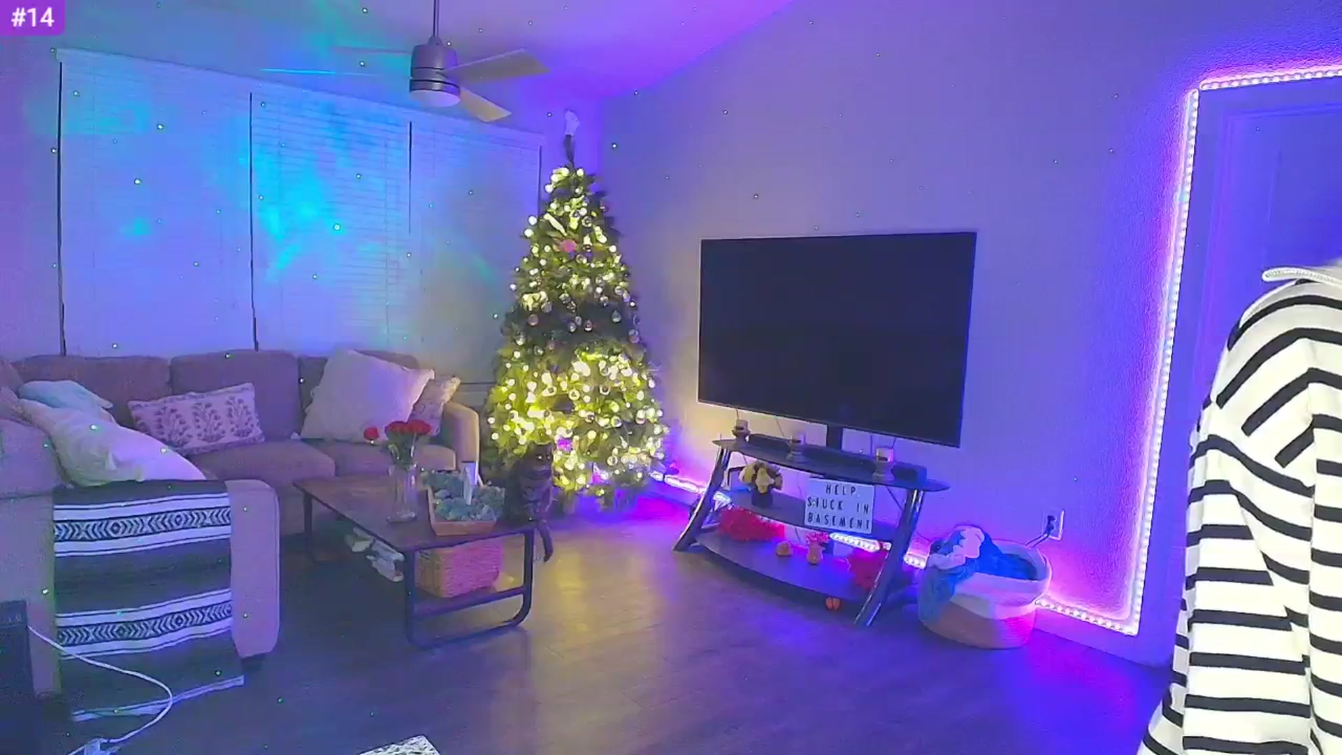 Gallery image thumbnail from Sammy_gray's myfreecams stream on, 02/06/2025, 06:42 image 10 of 20