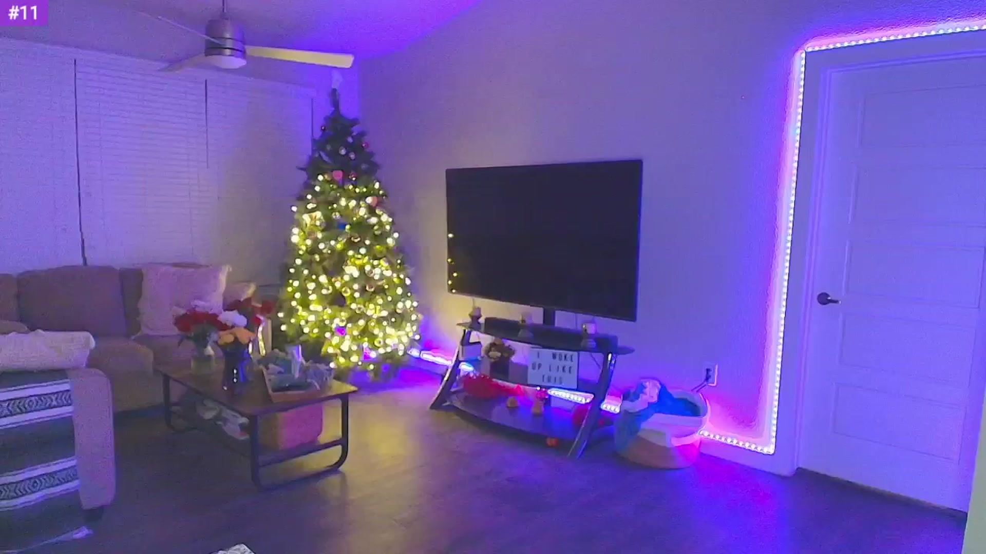 Gallery image thumbnail from Sammy_gray's myfreecams stream on, 02/16/2025, 05:54 image 16 of 20