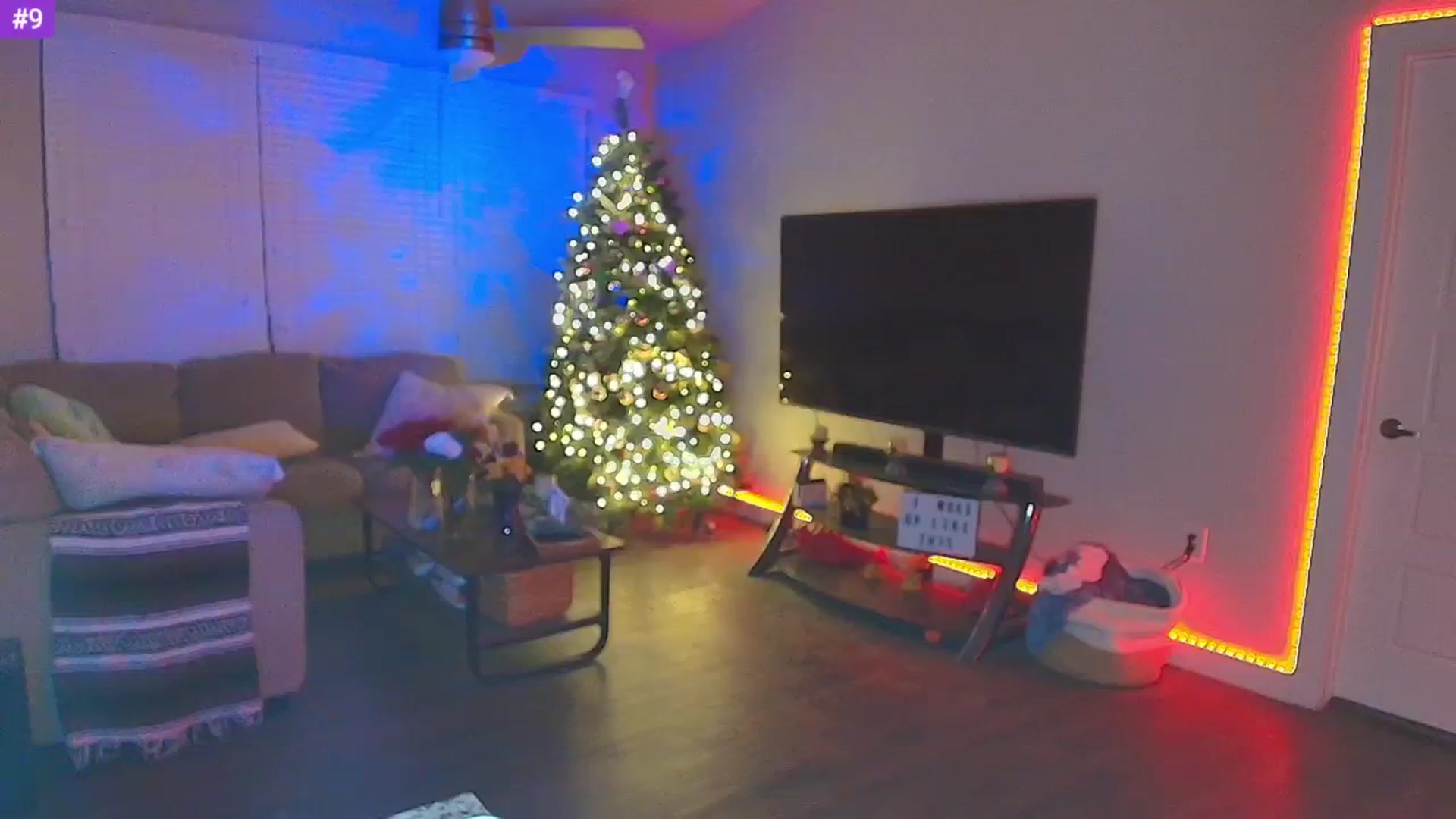 Gallery image thumbnail from Sammy_gray's myfreecams stream on, 02/24/2025, 08:52 image 18 of 20