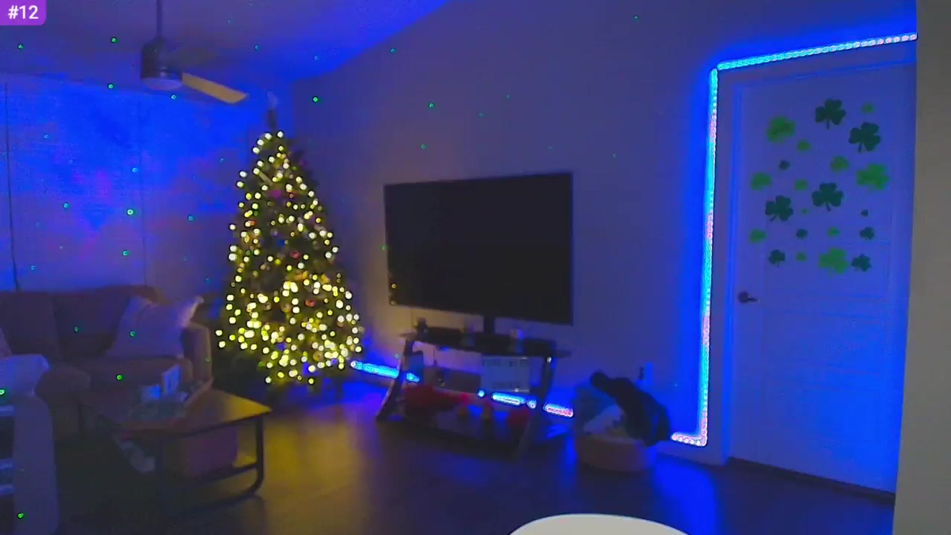 Gallery image thumbnail from Sammy_gray's myfreecams stream on, 03/09/2025, 03:39 image 18 of 20
