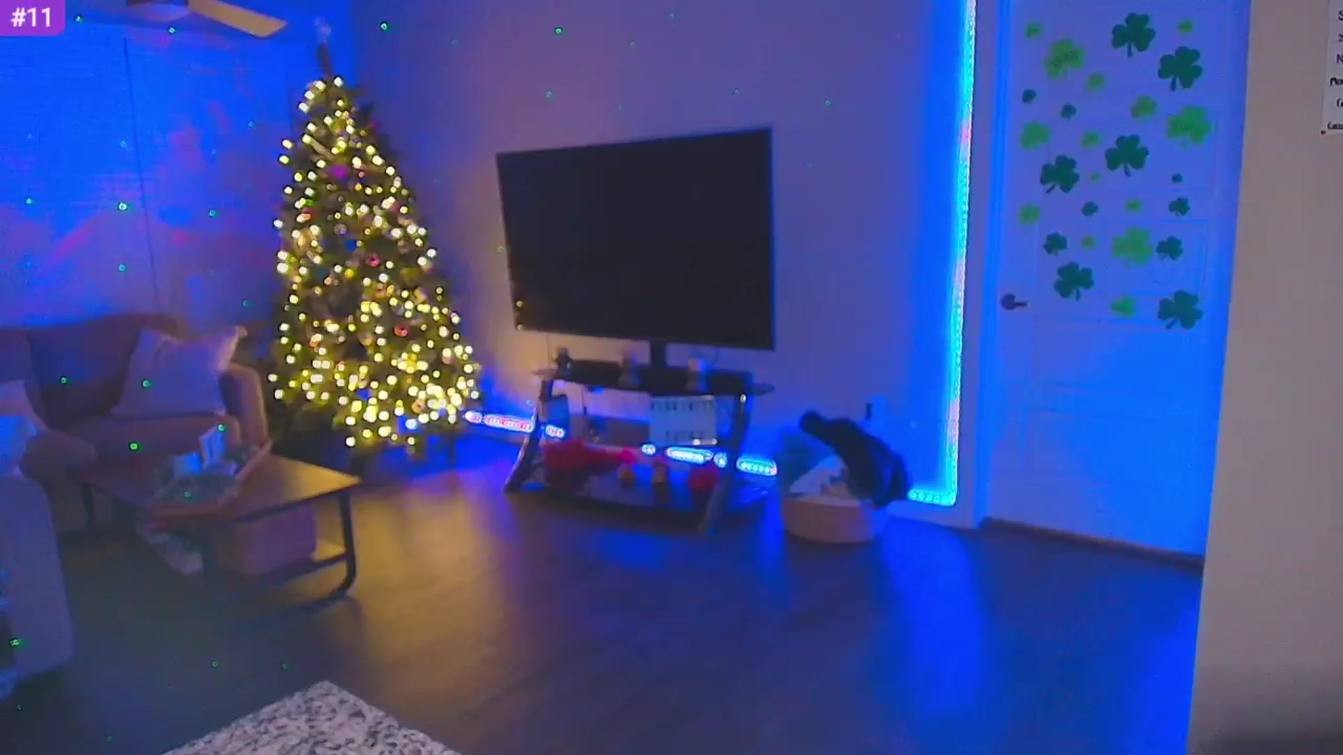 Gallery image thumbnail from Sammy_gray's myfreecams stream on, 03/09/2025, 05:16 image 20 of 20