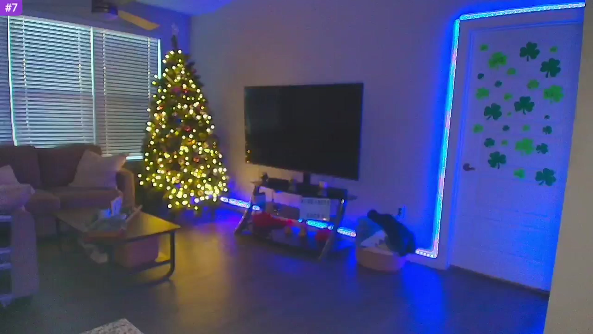 Gallery image thumbnail from Sammy_gray's myfreecams stream on, 03/10/2025, 02:02 image 13 of 20
