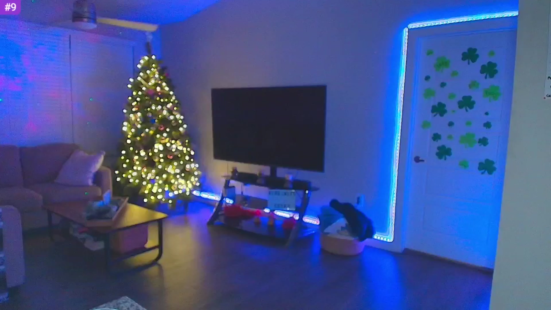 Gallery image thumbnail from Sammy_gray's myfreecams stream on, 03/12/2025, 05:46 image 13 of 20