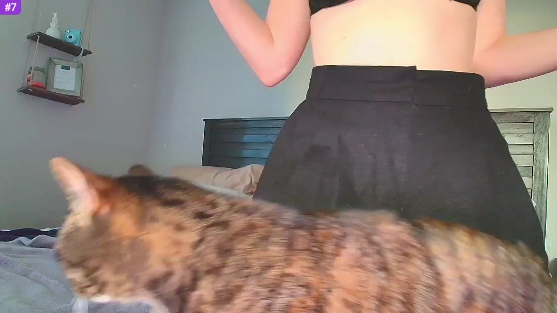 Gallery image thumbnail from Sammy_gray's myfreecams stream on, 03/24/2025, 01:26 image 18 of 20