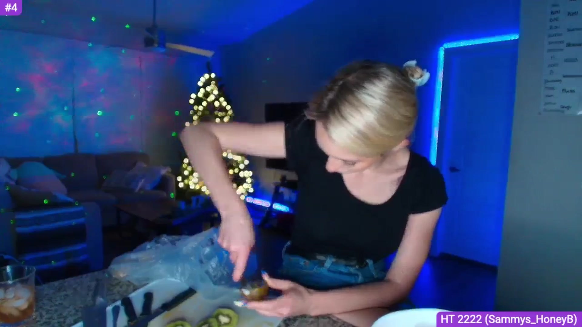 Gallery image thumbnail from Sammy_gray's myfreecams stream on, 04/16/2025, 03:08 image 13 of 20