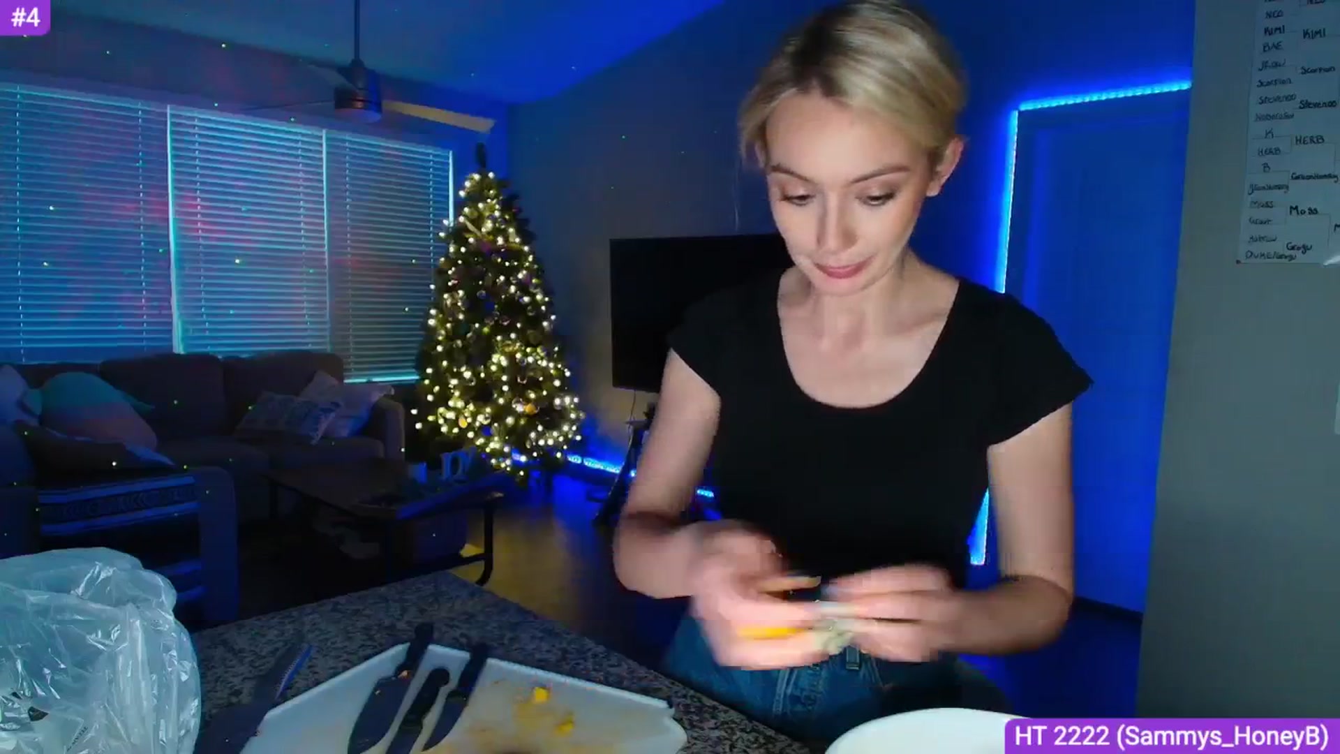 Gallery image thumbnail from Sammy_gray's myfreecams stream on, 04/16/2025, 03:08 image 10 of 20