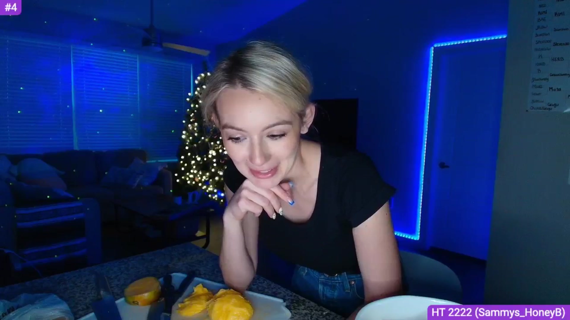 Gallery image thumbnail from Sammy_gray's myfreecams stream on, 04/16/2025, 03:08 image 11 of 20