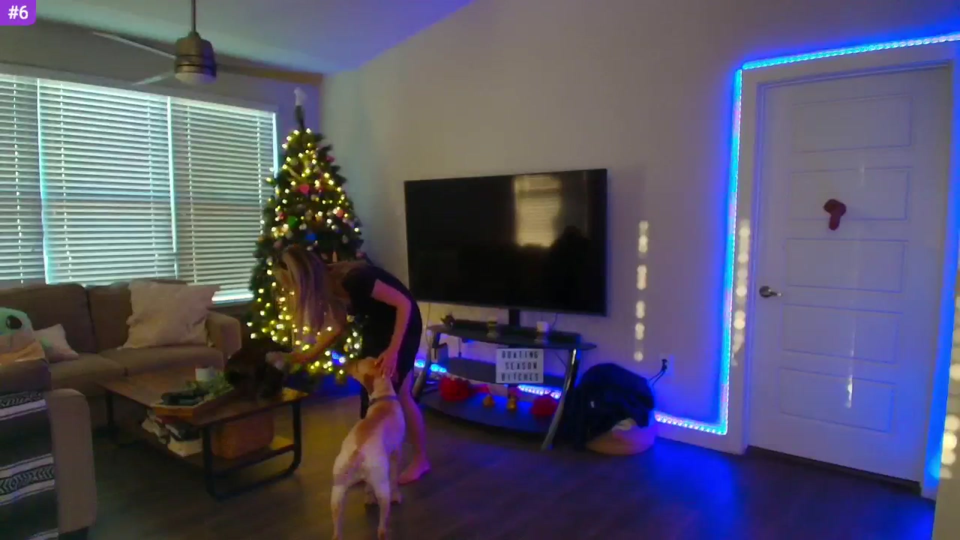Gallery image thumbnail from Sammy_gray's myfreecams stream on, 05/09/2025, 02:28 image 12 of 20