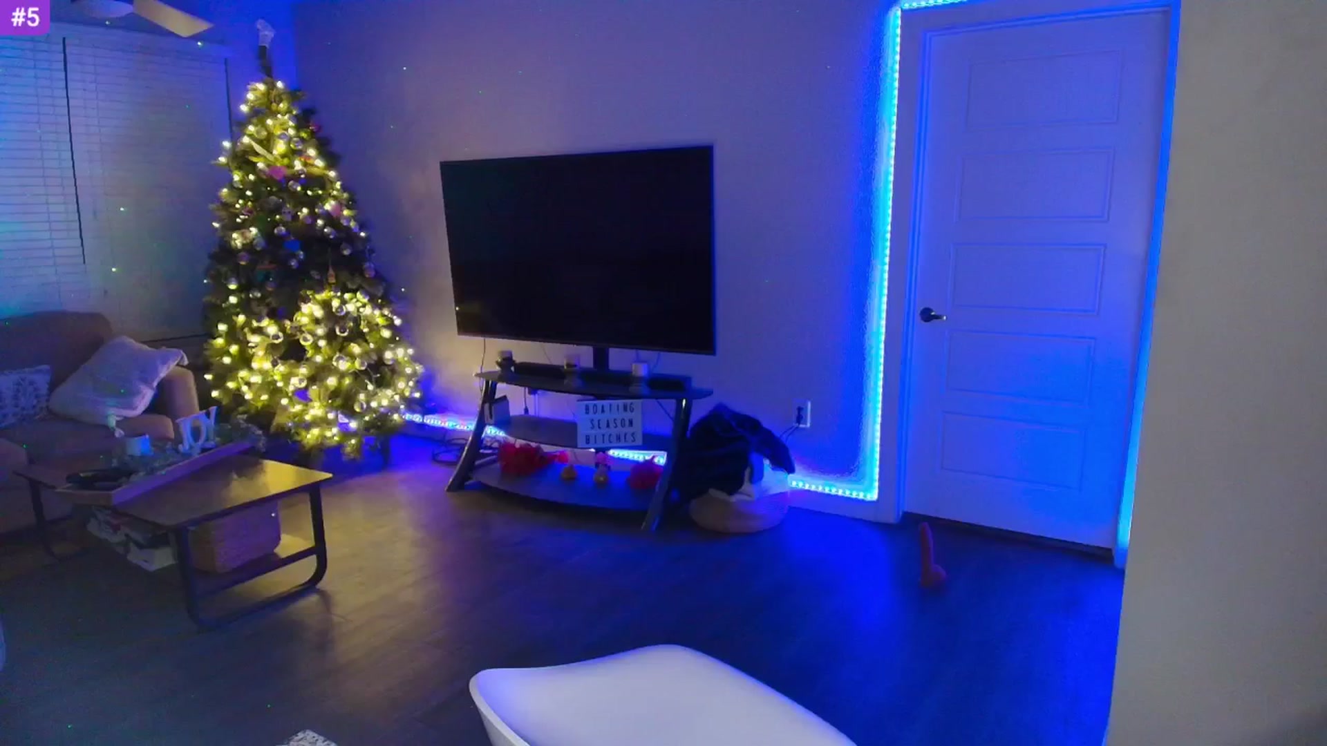 Gallery image thumbnail from Sammy_gray's myfreecams stream on, 05/12/2025, 05:01 image 8 of 20