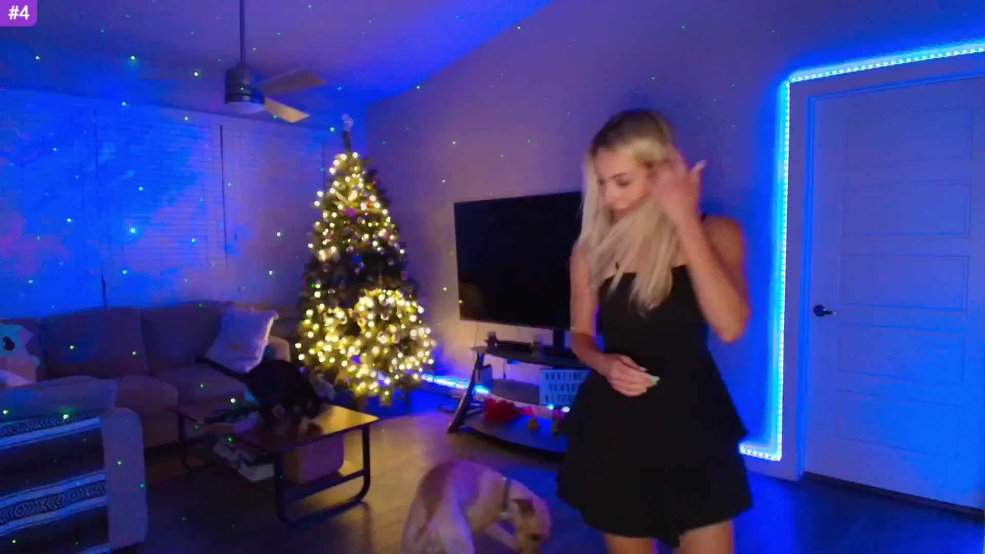 Gallery image thumbnail from Sammy_gray's myfreecams stream on, 05/16/2025, 05:07 image 16 of 20