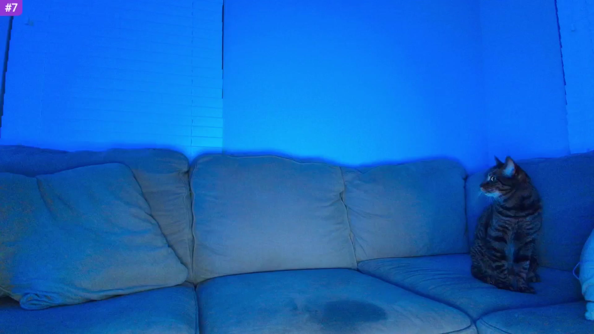 Gallery image thumbnail from Sammy_gray's myfreecams stream on, 05/29/2025, 04:44 image 2 of 20