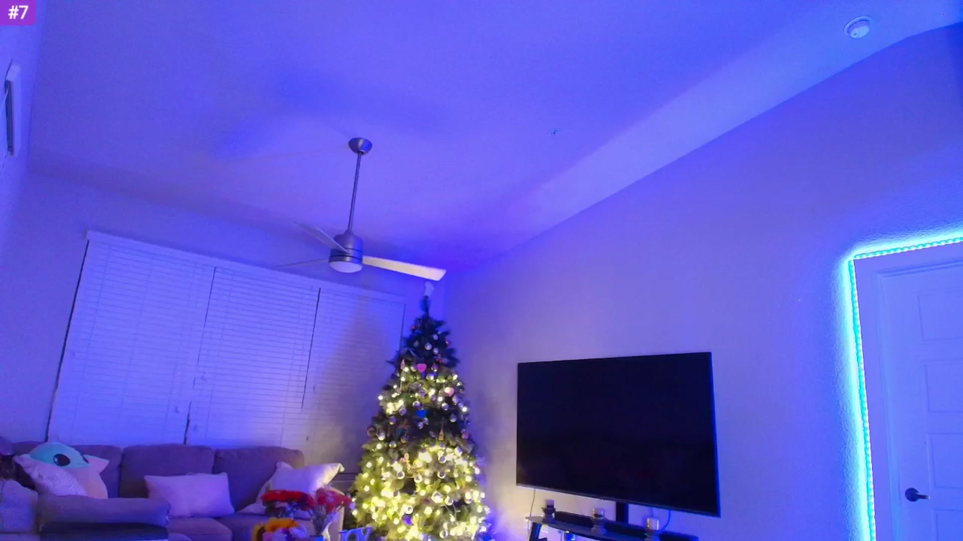 Gallery image thumbnail from Sammy_gray's myfreecams stream on, 05/30/2025, 06:34 image 17 of 20