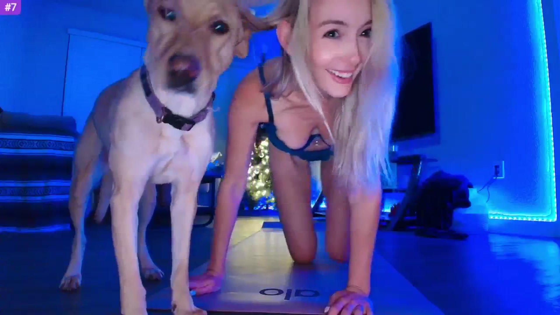Gallery image thumbnail from Sammy_gray's myfreecams stream on, 05/30/2025, 06:34 image 16 of 20