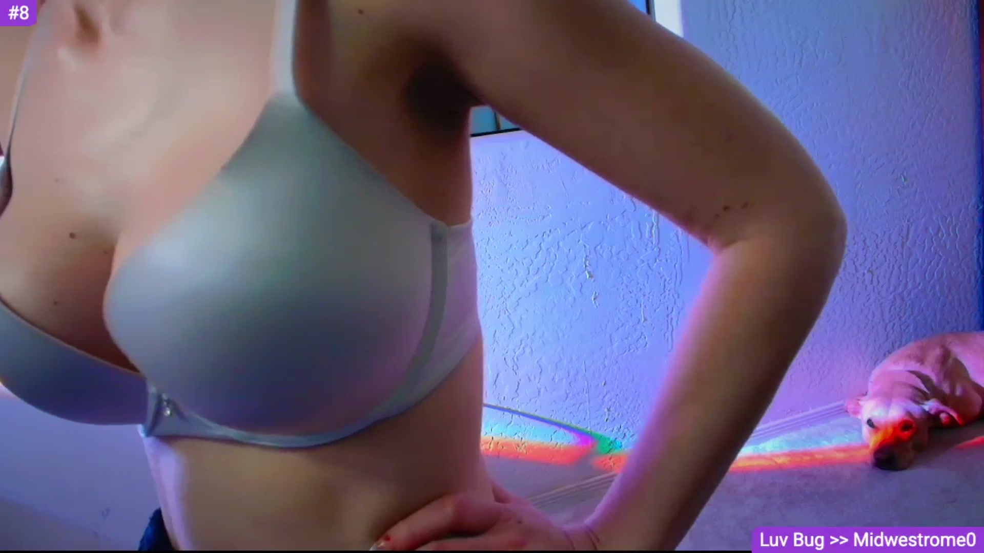 Gallery image thumbnail from Sammy_gray's myfreecams stream on, 02/11/2026, 04:01 image 16 of 20
