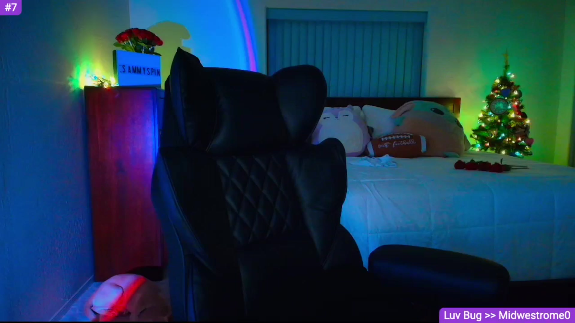 Gallery image thumbnail from Sammy_gray's myfreecams stream on, 02/11/2026, 05:13 image 16 of 20
