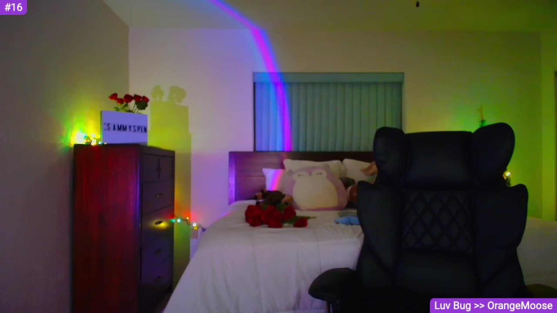 Gallery image thumbnail from Sammy_gray's myfreecams stream on, 02/23/2026, 05:54 image 18 of 20