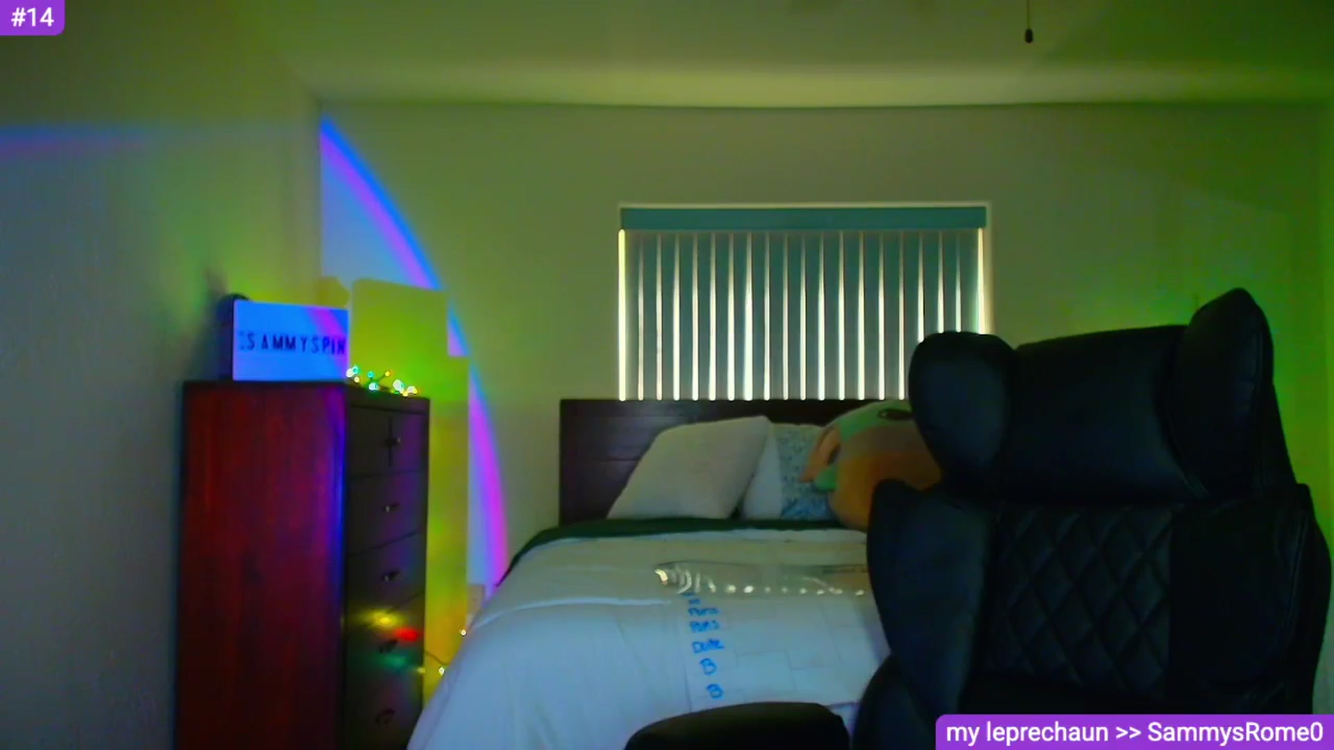 Gallery image thumbnail from Sammy_gray's myfreecams stream on, 03/19/2026, 01:08 image 14 of 20