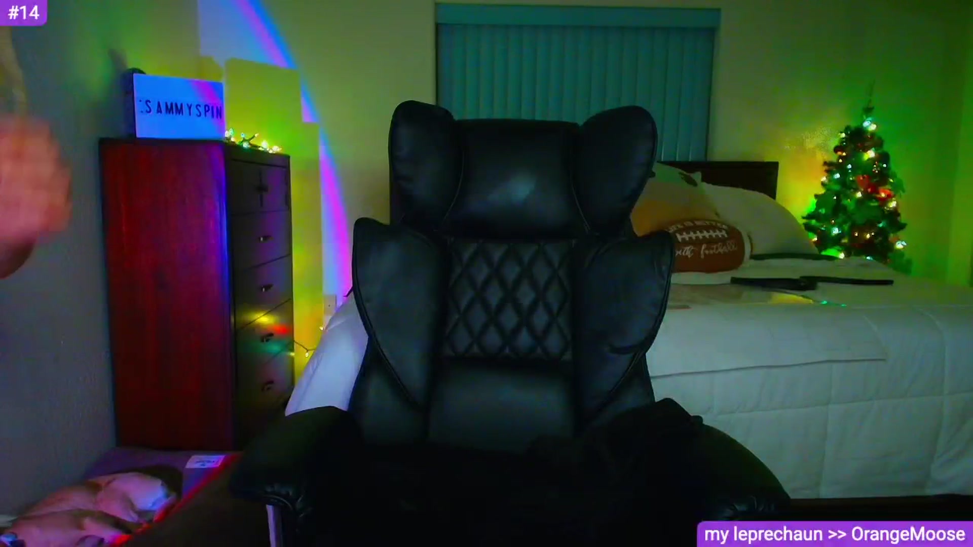 Gallery image thumbnail from Sammy_gray's myfreecams stream on, 03/19/2026, 05:41 image 17 of 20