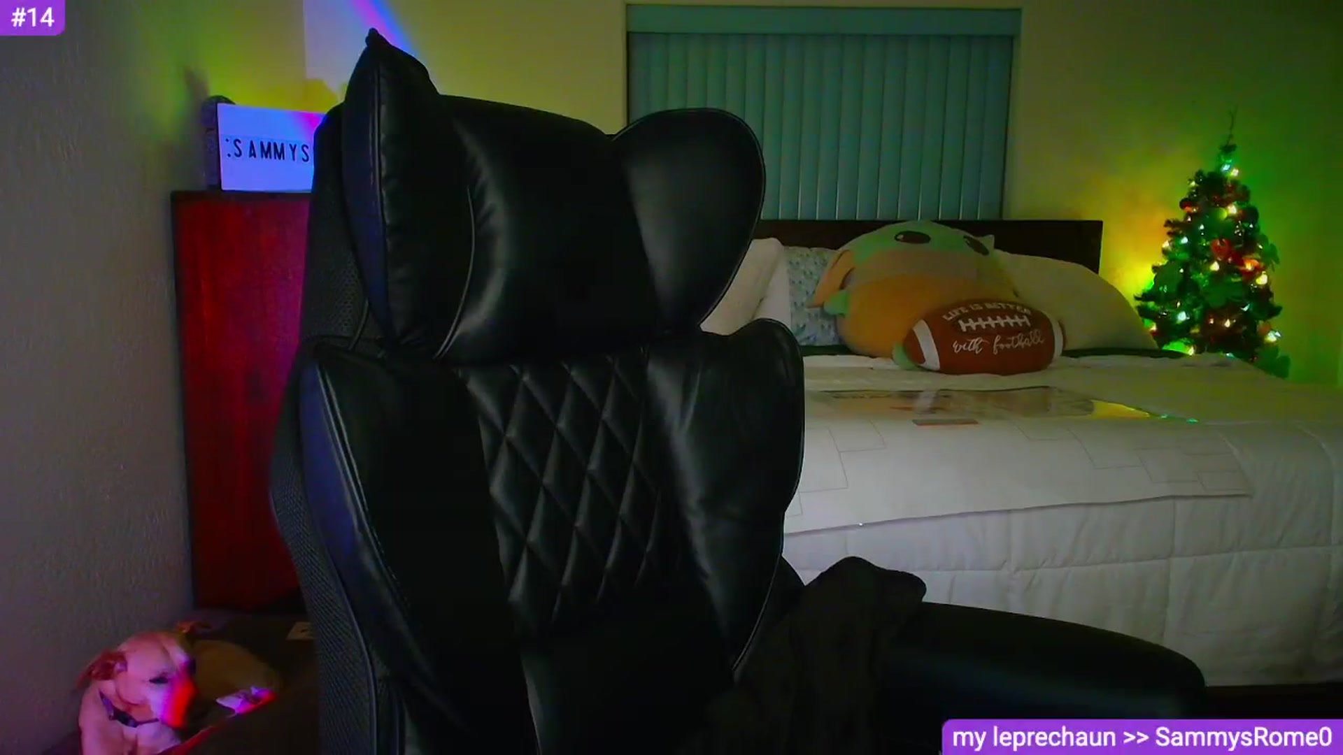 Gallery image thumbnail from Sammy_gray's myfreecams stream on, 03/19/2026, 05:41 image 10 of 20