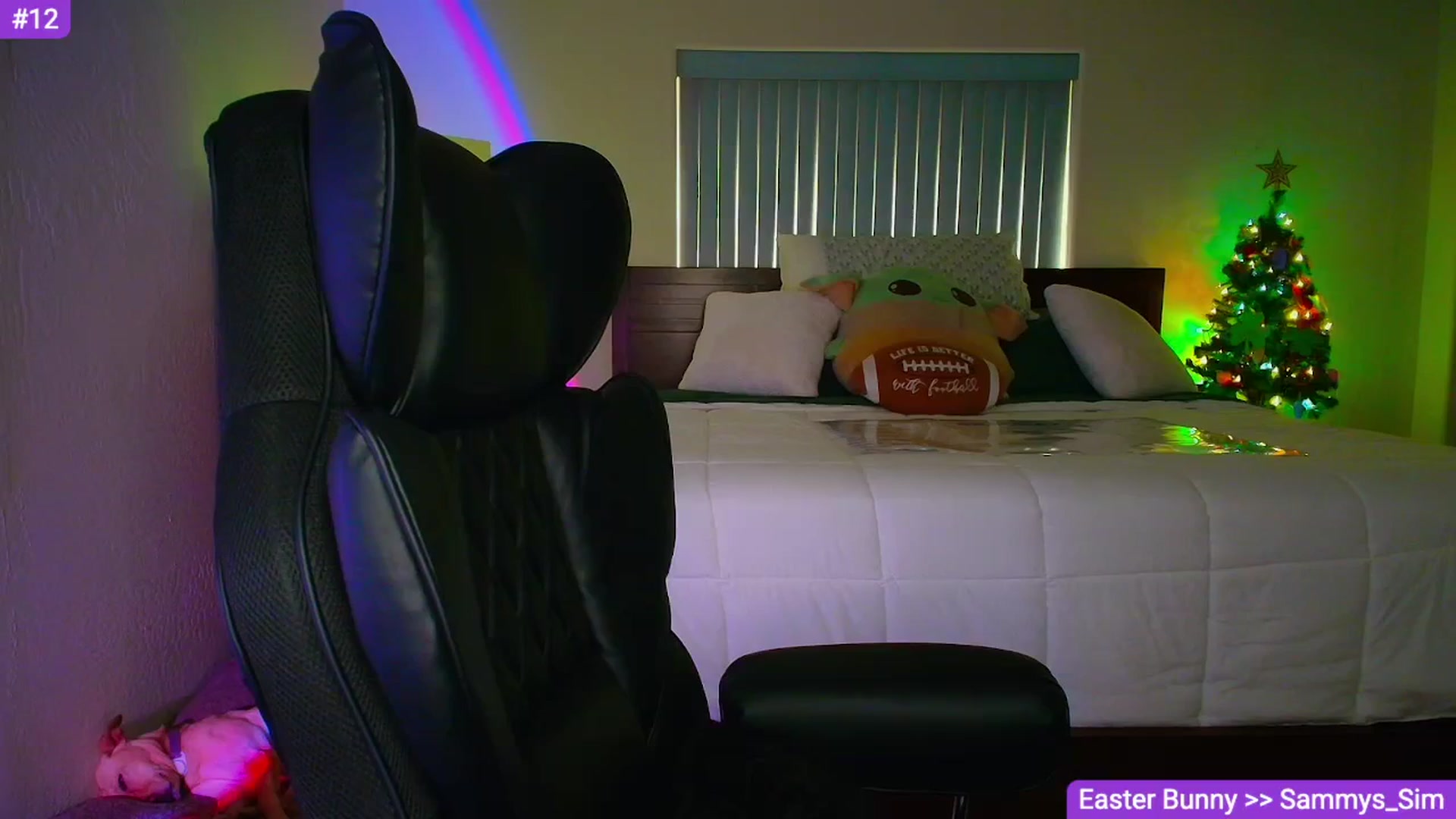 Gallery image thumbnail from Sammy_gray's myfreecams stream on, 04/01/2026, 03:27 image 2 of 20