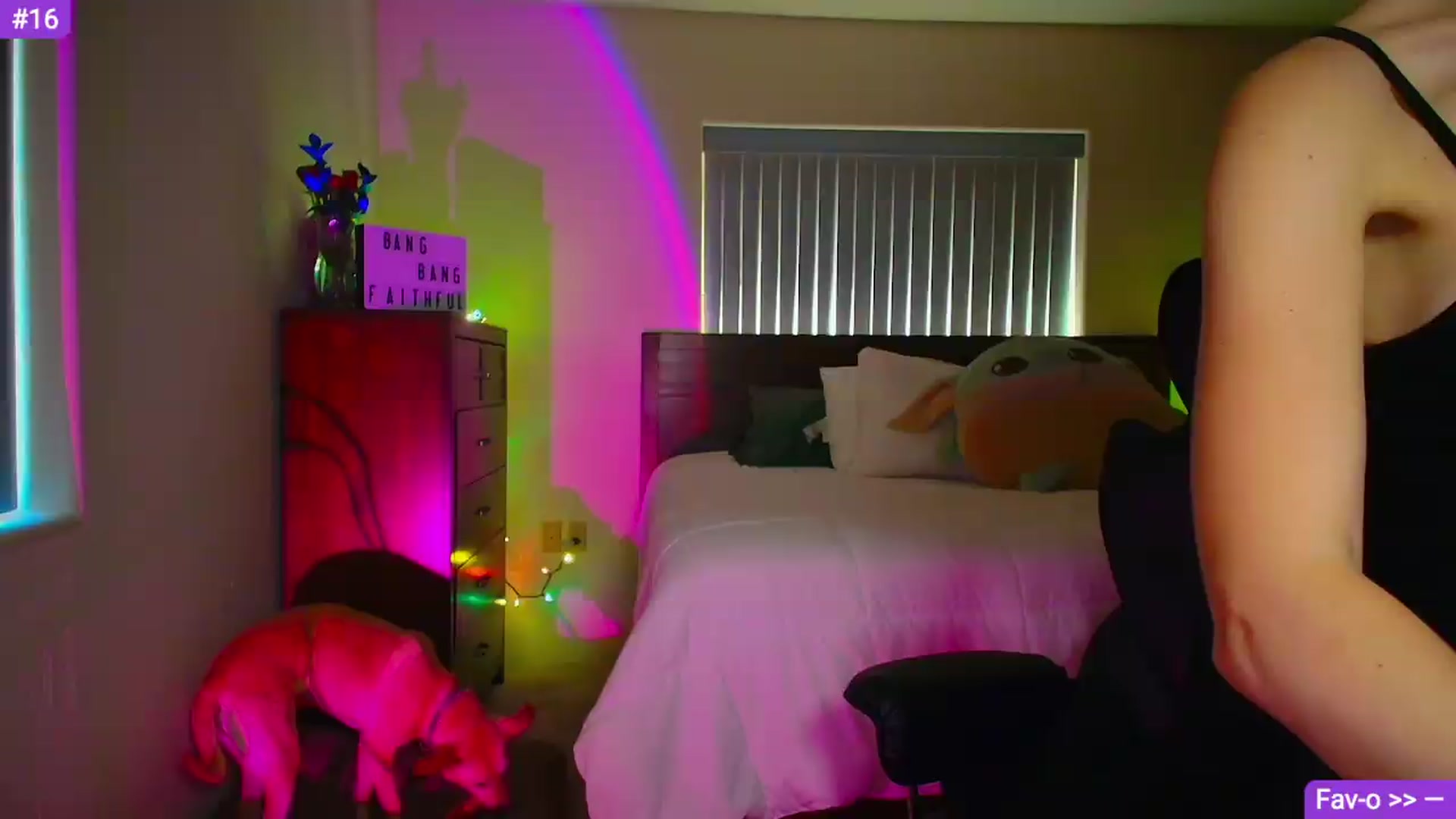 Gallery image thumbnail from Sammy_gray's myfreecams stream on, 05/14/2026, 24:56 image 1 of 20