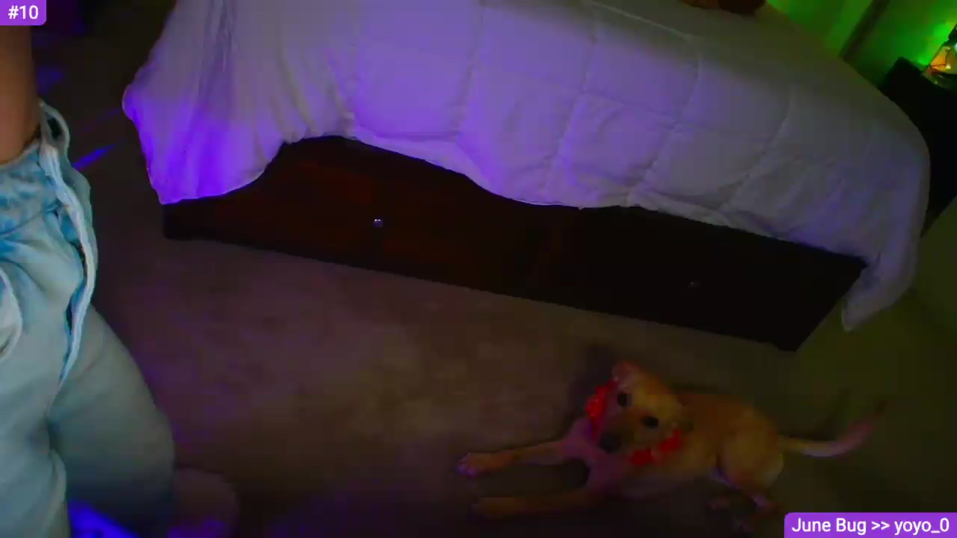Gallery image thumbnail from Sammy_gray's myfreecams stream on, 06/05/2026, 02:37 image 10 of 20
