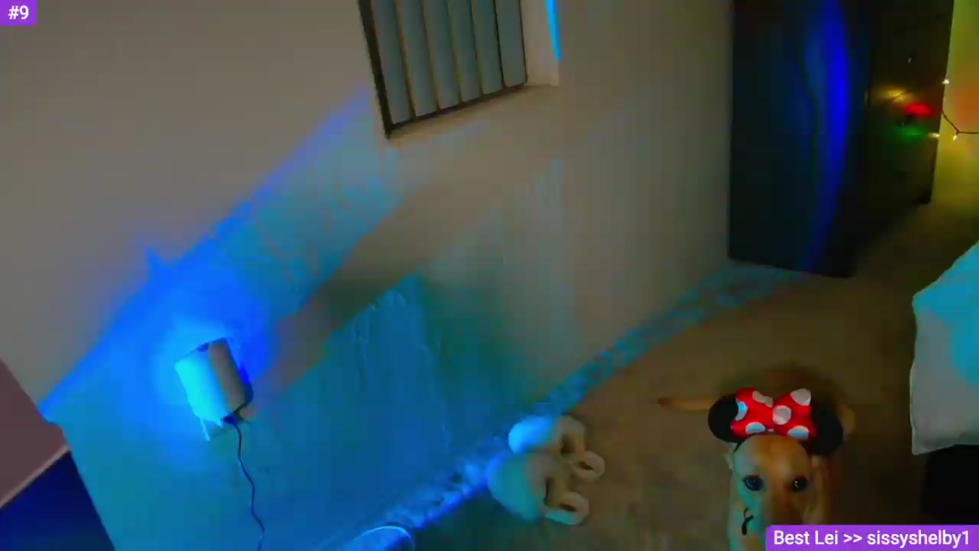 Gallery image thumbnail from Sammy_gray's myfreecams stream on, 06/11/2026, 05:17 image 6 of 20