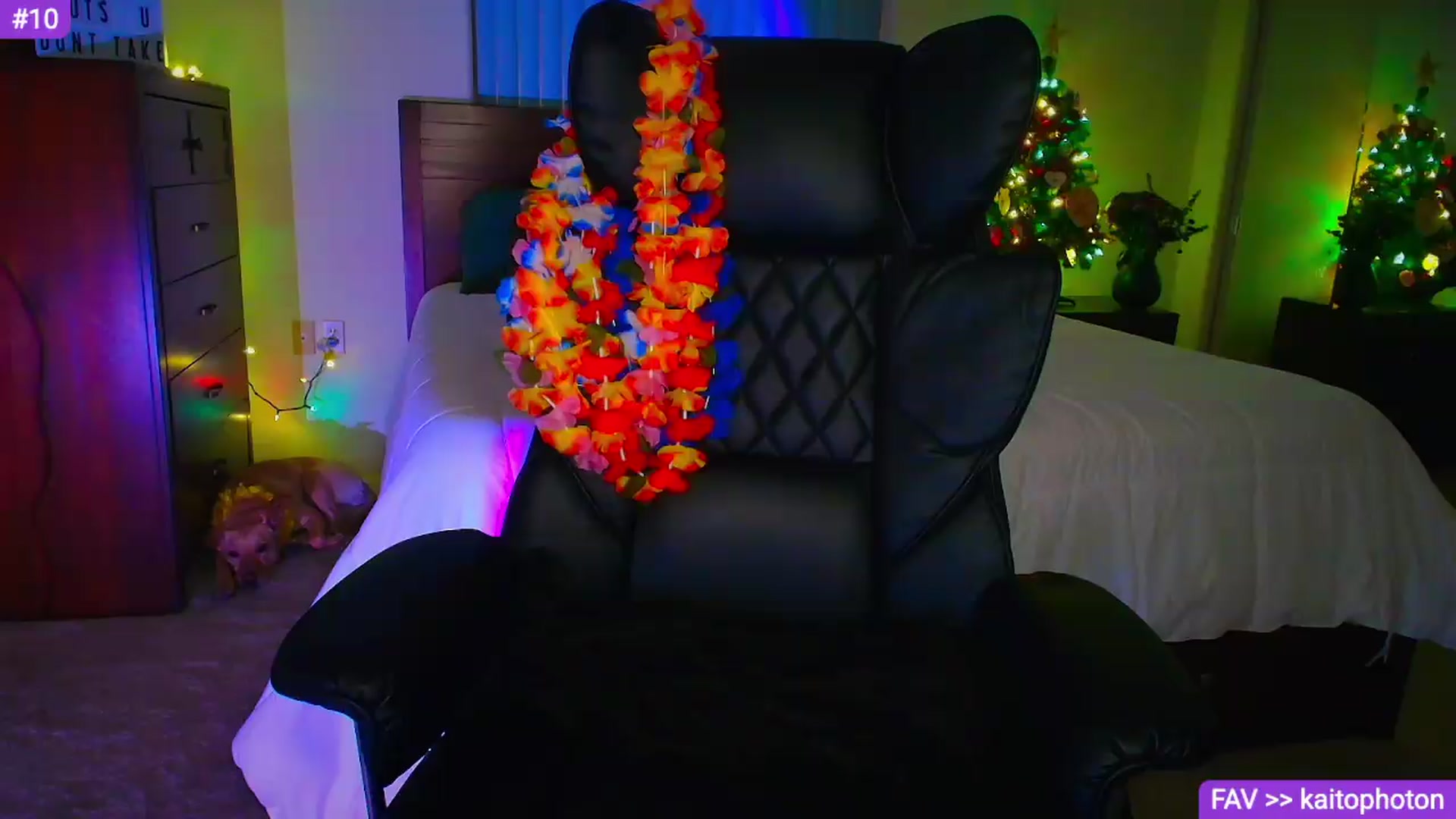 Gallery image thumbnail from Sammy_gray's myfreecams stream on, 06/26/2026, 03:36 image 12 of 20
