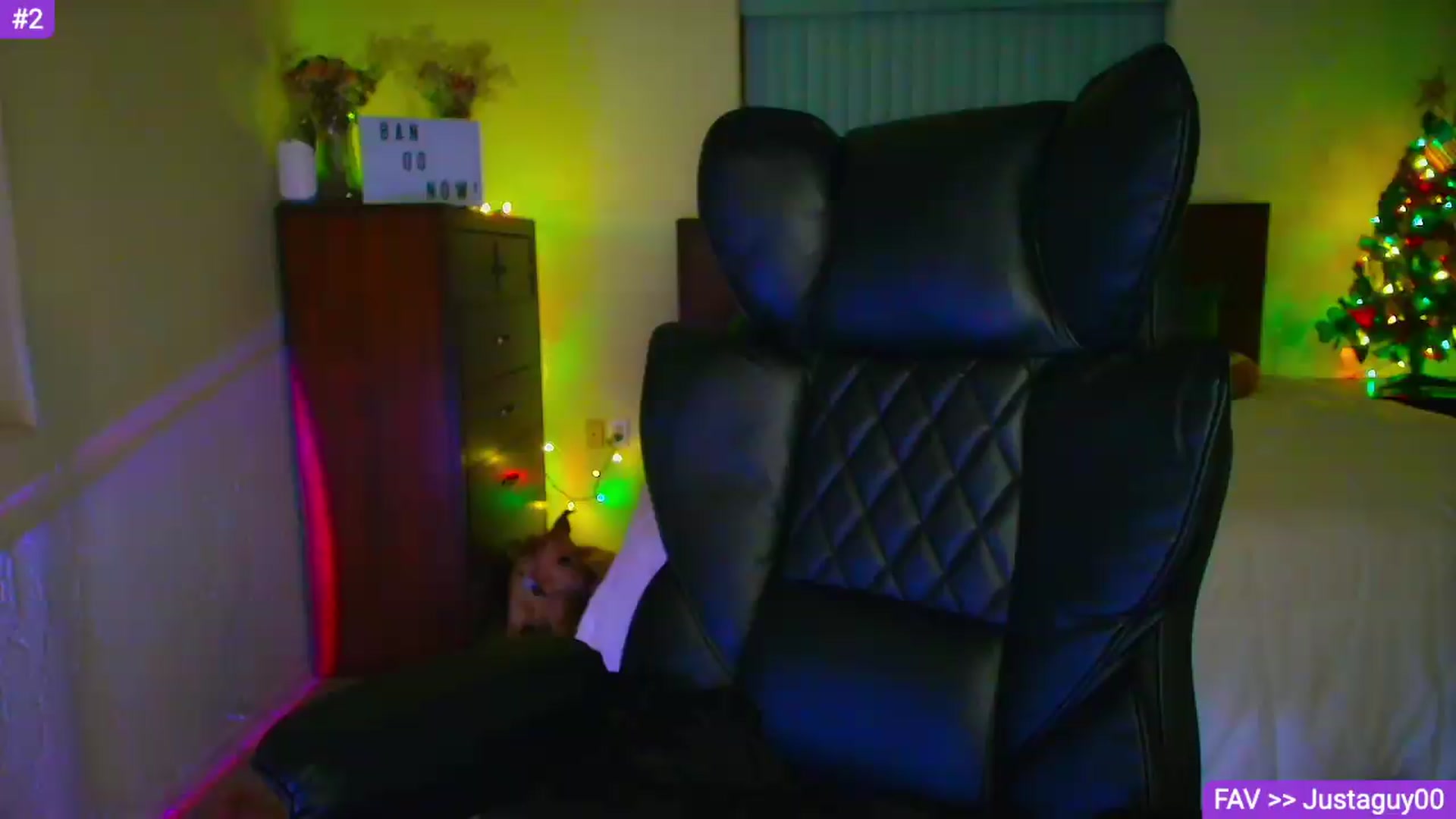 Gallery image thumbnail from Sammy_gray's myfreecams stream on, 07/17/2026, 06:36 image 10 of 20