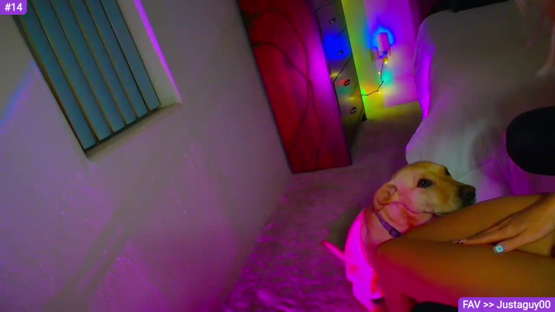 Gallery image thumbnail from Sammy_gray's myfreecams stream on, 09/03/2026, 07:57 image 20 of 20