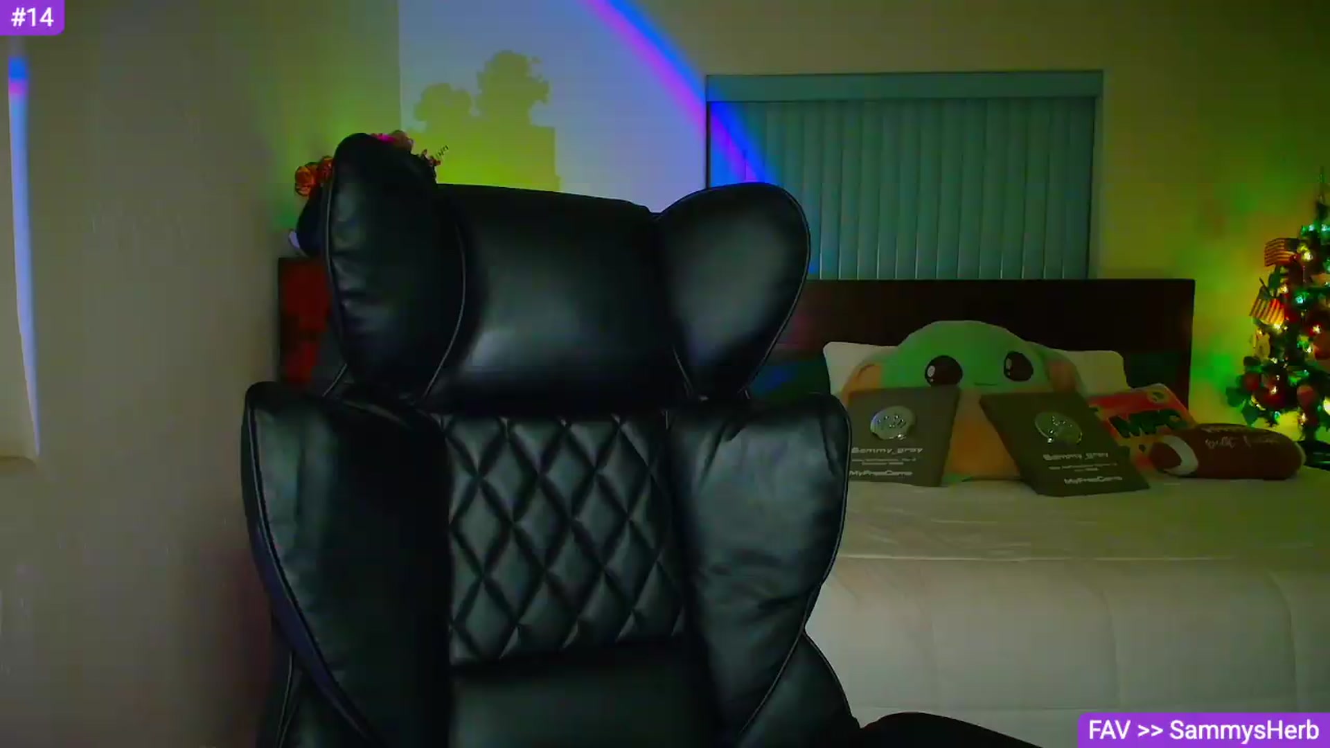 Gallery image thumbnail from Sammy_gray's myfreecams stream on, 09/15/2026, 04:09 image 14 of 20