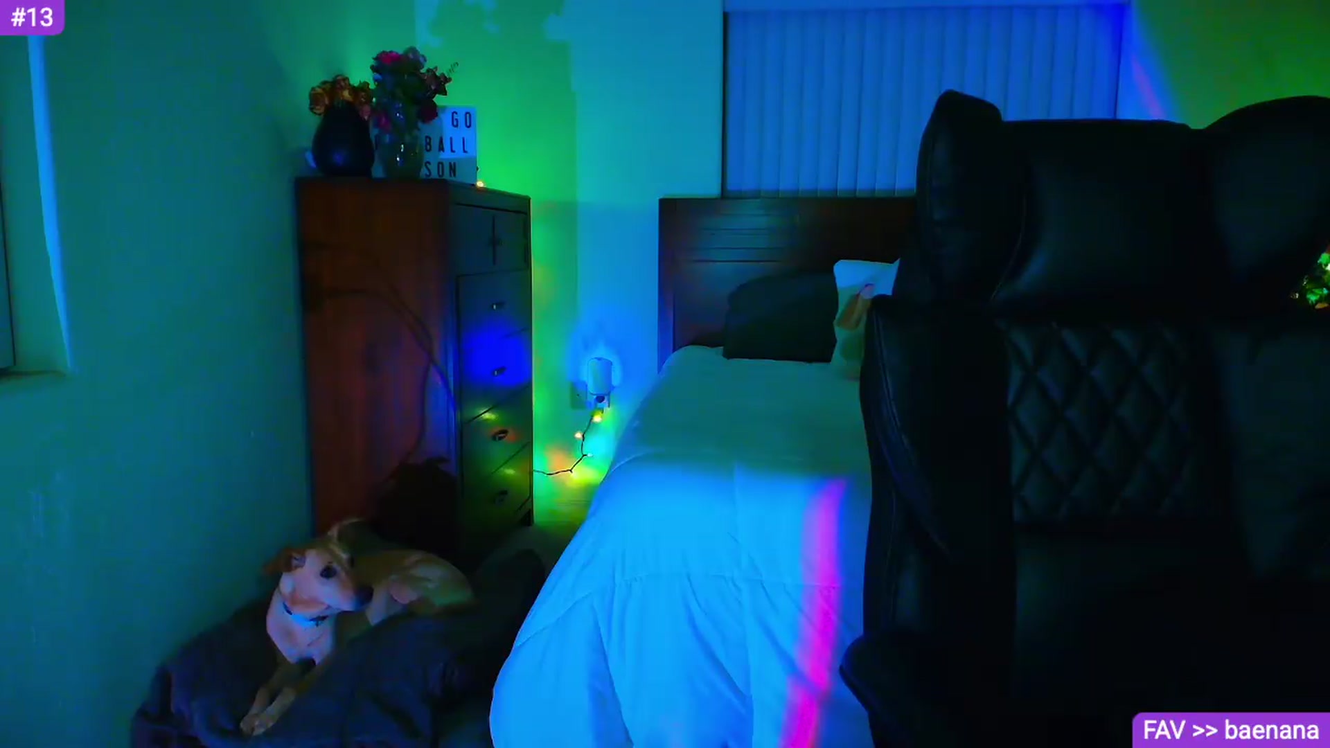 Gallery image thumbnail from Sammy_gray's myfreecams stream on, 09/16/2026, 05:26 image 11 of 20