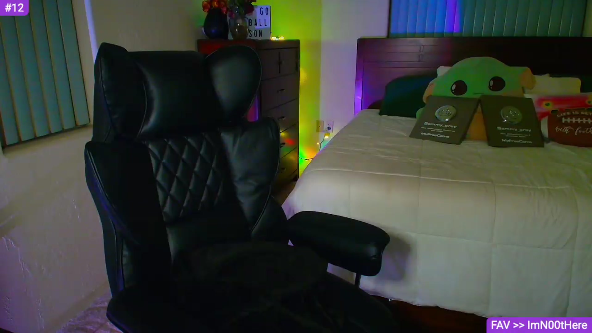 Gallery image thumbnail from Sammy_gray's myfreecams stream on, 09/20/2026, 04:54 image 12 of 20
