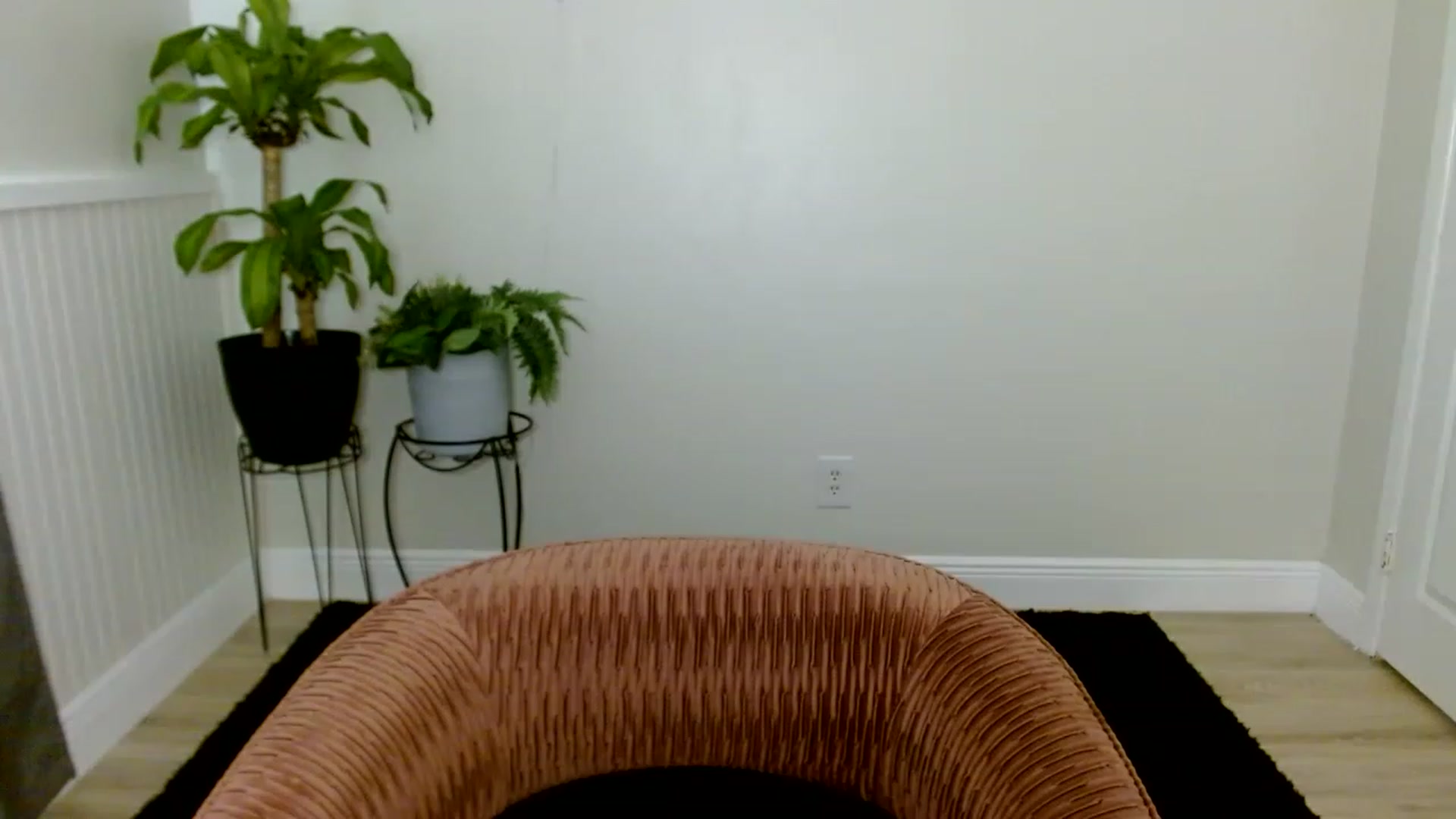 Gallery image thumbnail from Sandiecheeks's myfreecams stream on, 08/26/2023, 19:36 image 11 of 20