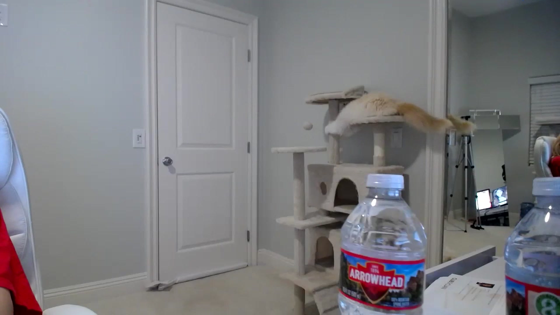Gallery image thumbnail from SandraGPopa's myfreecams stream on, 12/16/2023, 06:49 image 2 of 20
