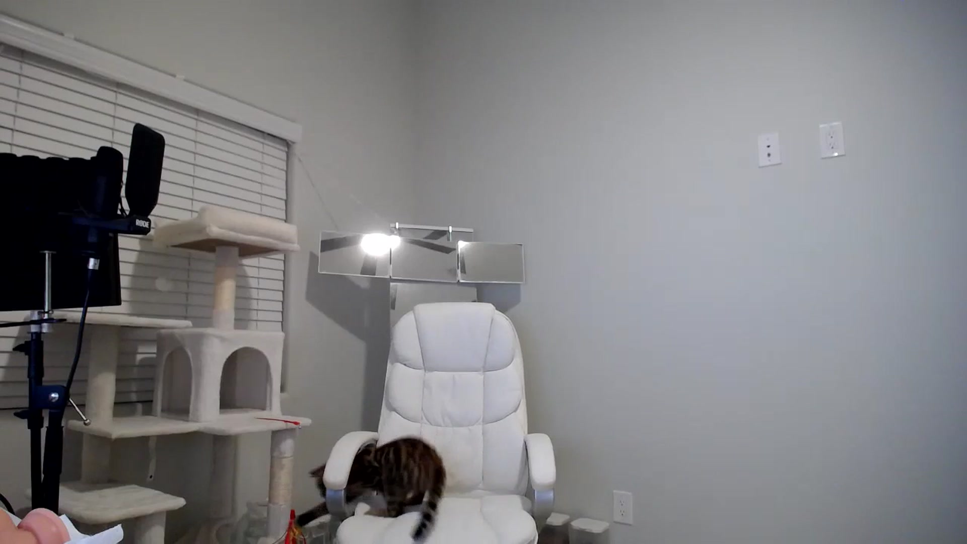 Gallery image thumbnail from SandraGPopa's myfreecams stream on, 01/29/2024, 08:56 image 9 of 20