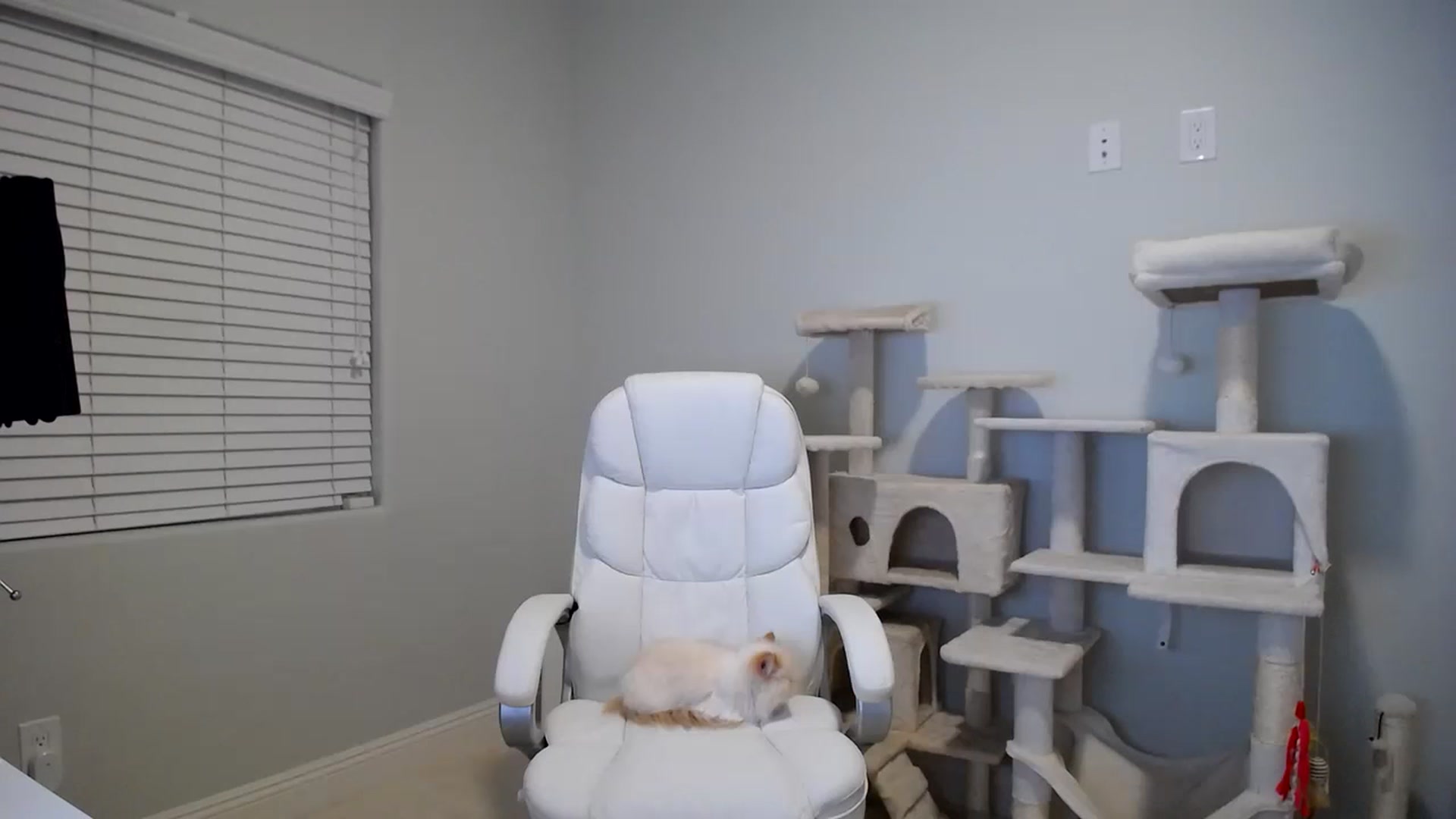 Gallery image thumbnail from SandraGPopa's myfreecams stream on, 02/22/2024, 05:29 image 15 of 20