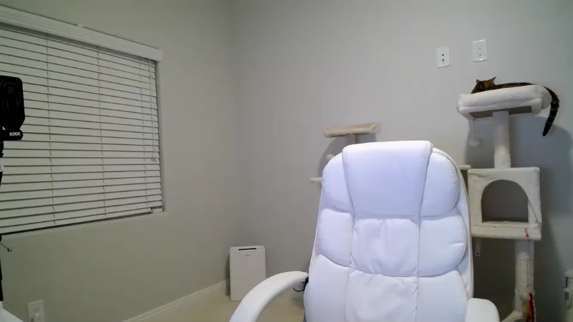 Gallery image thumbnail from SandraGPopa's myfreecams stream on, 03/05/2024, 08:06 image 5 of 20
