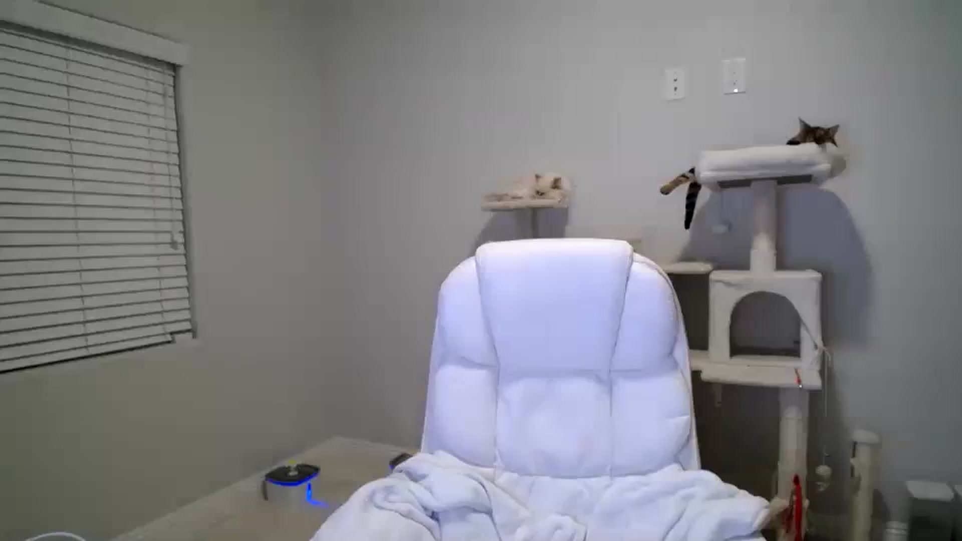 Gallery image thumbnail from SandraGPopa's myfreecams stream on, 03/08/2024, 11:05 image 1 of 20