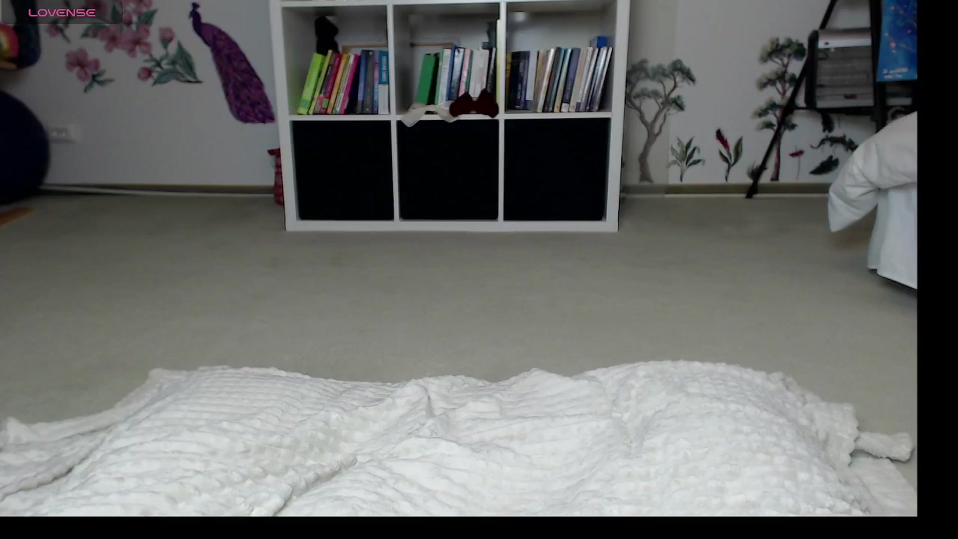 Gallery image thumbnail from SandraHaze's myfreecams stream on, 10/29/2025, 14:25 image 11 of 20