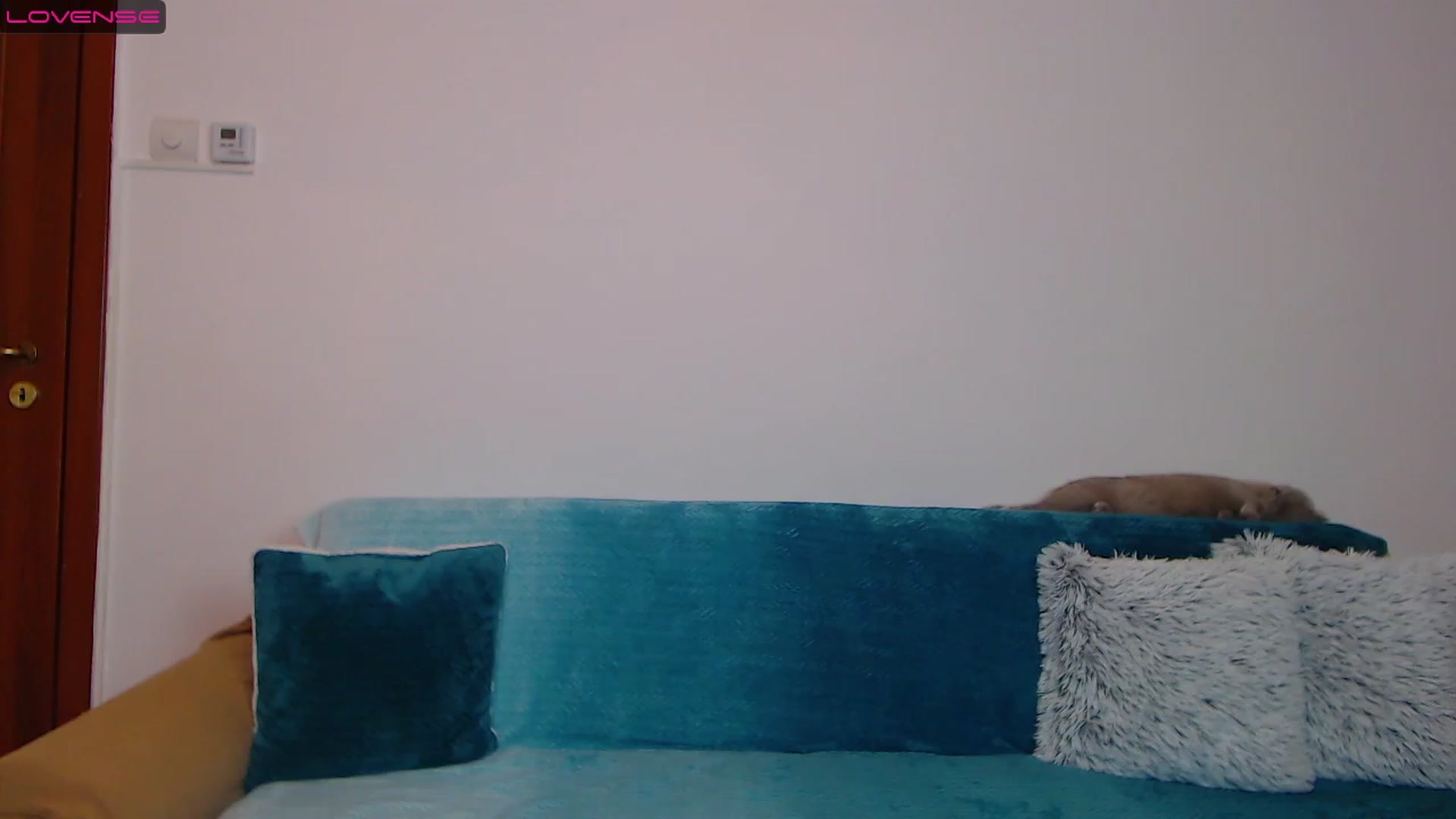 Gallery image thumbnail from Sara_Daisy's myfreecams stream on, 11/27/2022, 20:28 image 15 of 20