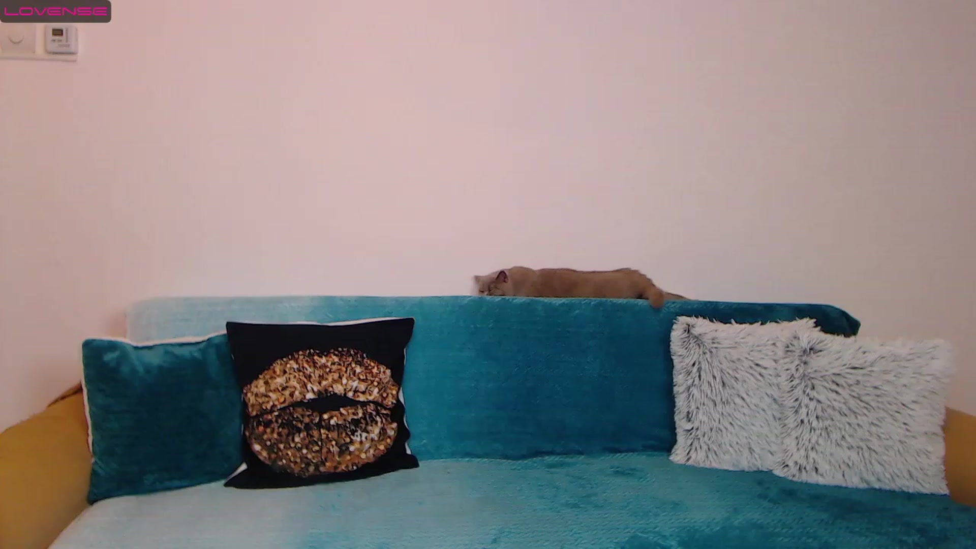 Gallery image thumbnail from Sara_Daisy's myfreecams stream on, 12/09/2022, 19:35 image 20 of 20