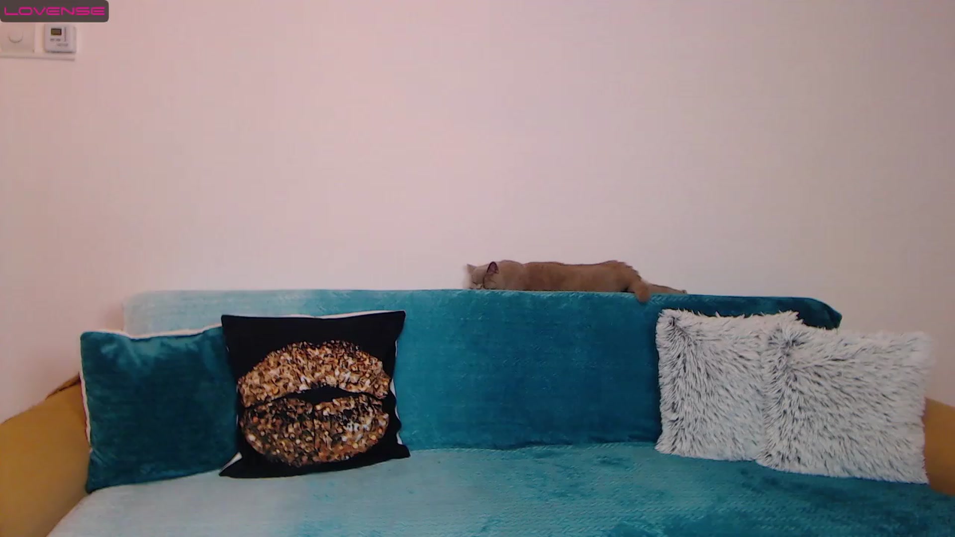 Gallery image thumbnail from Sara_Daisy's myfreecams stream on, 12/09/2022, 19:35 image 17 of 20