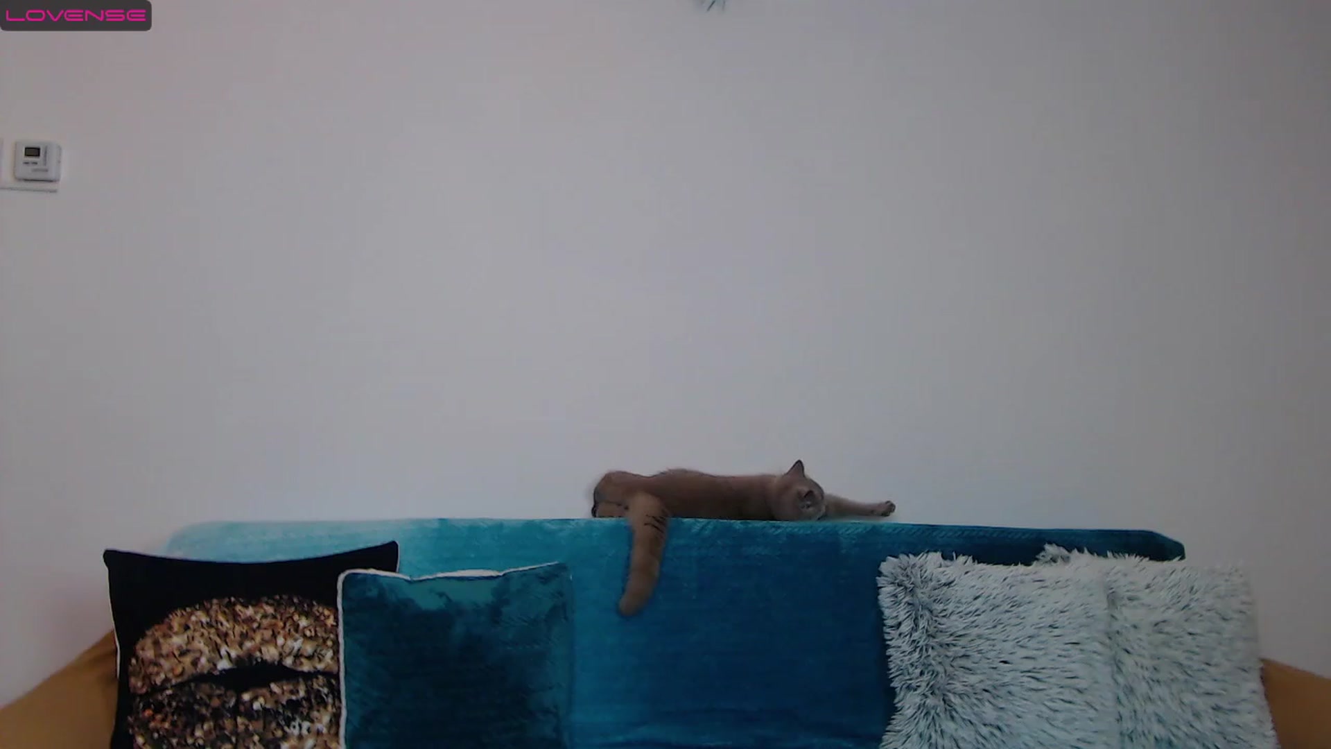 Gallery image thumbnail from Sara_Daisy's myfreecams stream on, 01/15/2023, 20:02 image 11 of 20